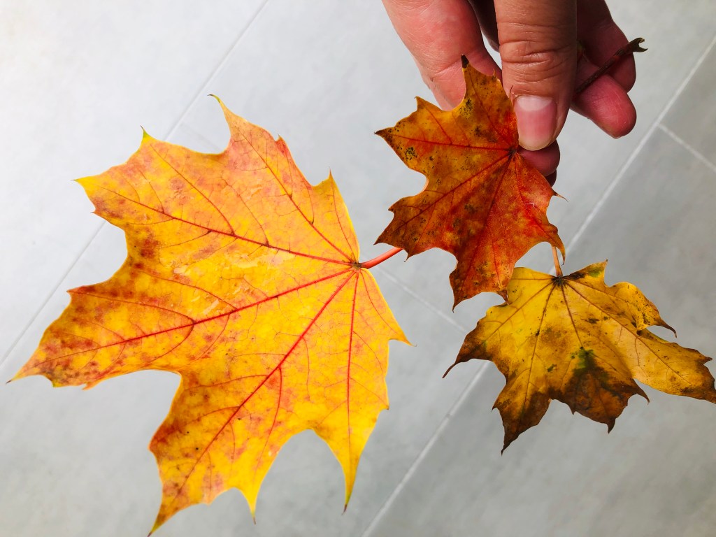 Conversations To Be Continued…