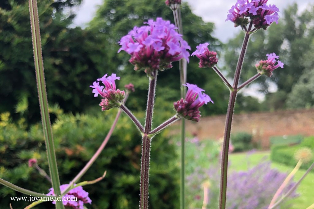 When The Holy Spirit Leads: Guest Post for Rest &&nbsp;Chaos