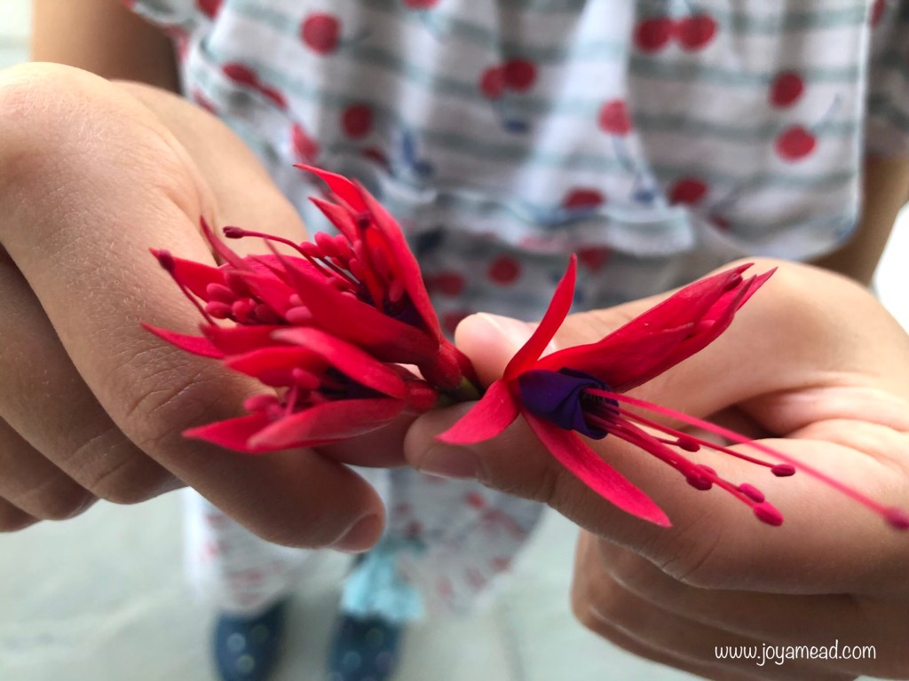 These Are The&nbsp;Days