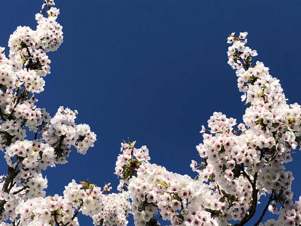 Being Present In This&nbsp;Moment