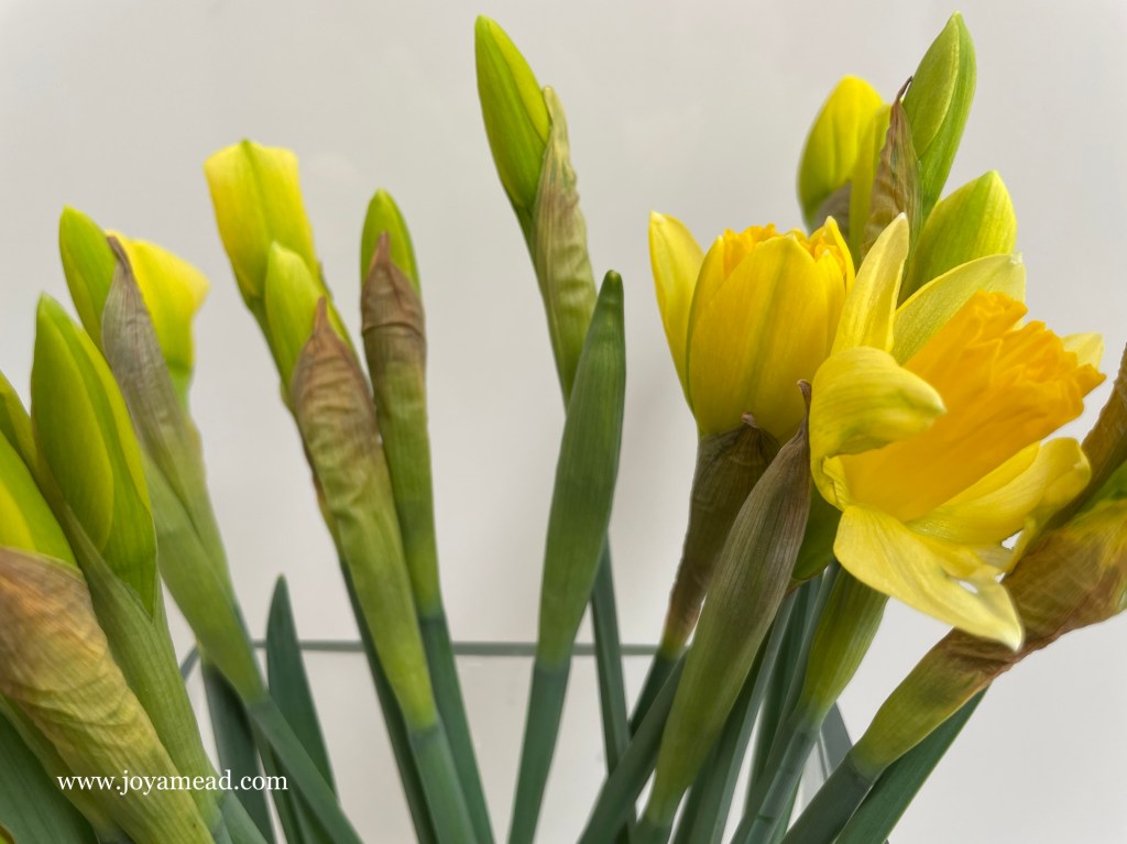 Eight Suitcases & Twelve Years&nbsp;Later