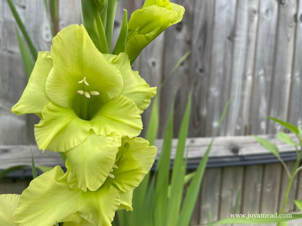 Rich Or Poor: Let’s Be Content With&nbsp;Enough