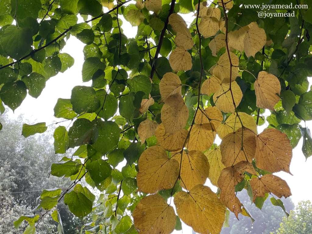 Have Your Way In&nbsp;Me