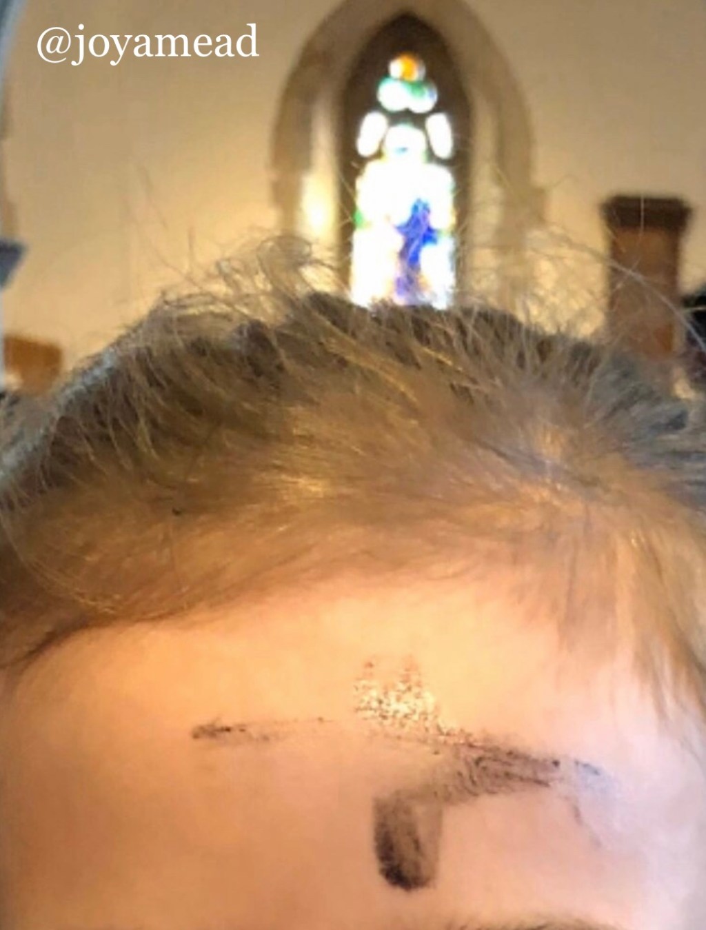 Beauty From The Ashes