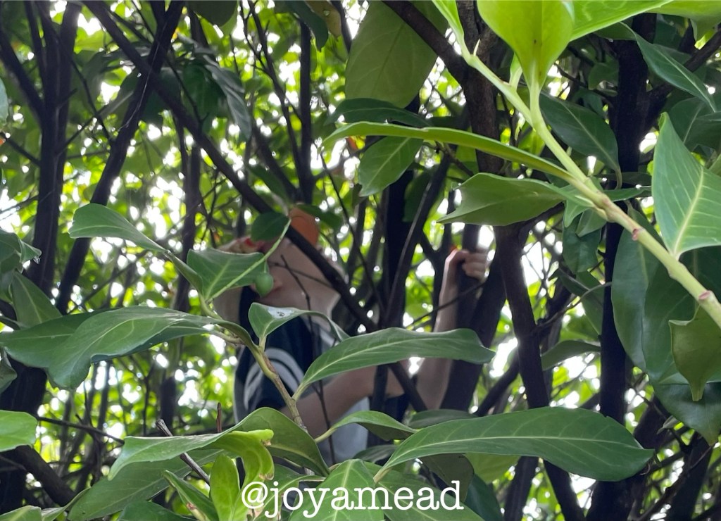 Reflections From My Hiding&nbsp;Place