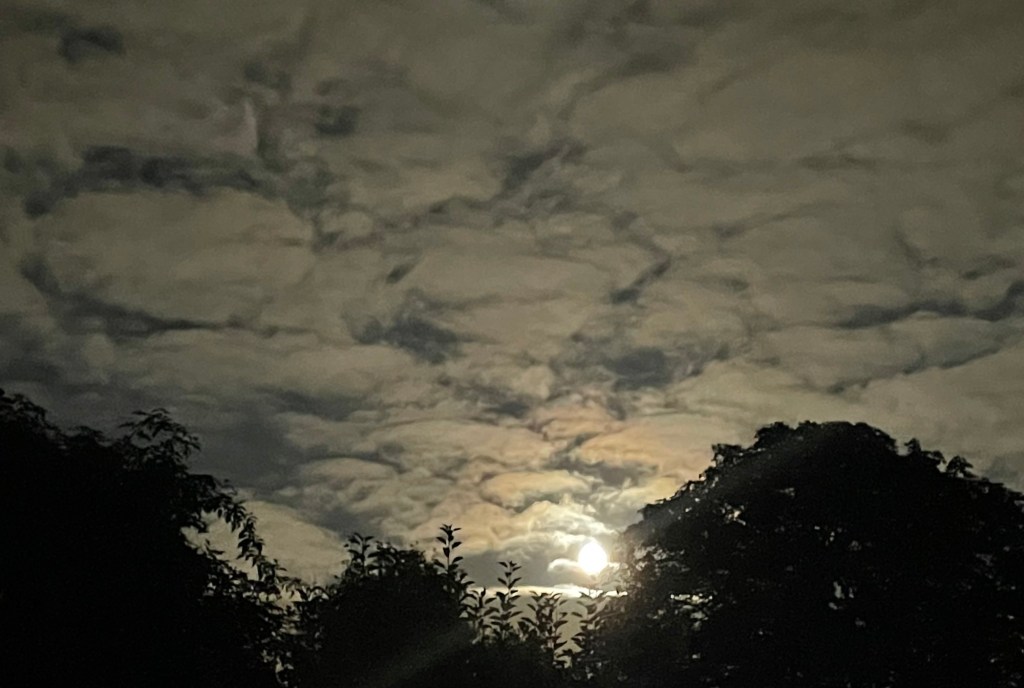 Do Not Fear the&nbsp;Darkness